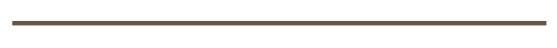 Trait horizontal marron